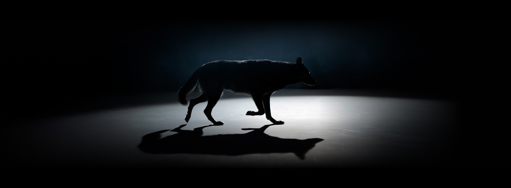 Jaecoo 7 Black Luxury SHS